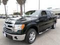 Green Gem Metallic 2013 Ford F150 XL SuperCrew