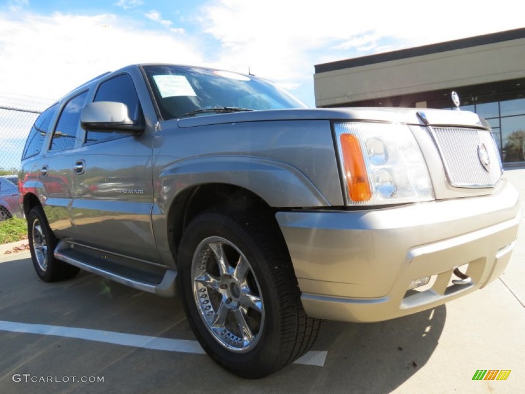2002 Escalade AWD - Silver Sand / Shale photo #4