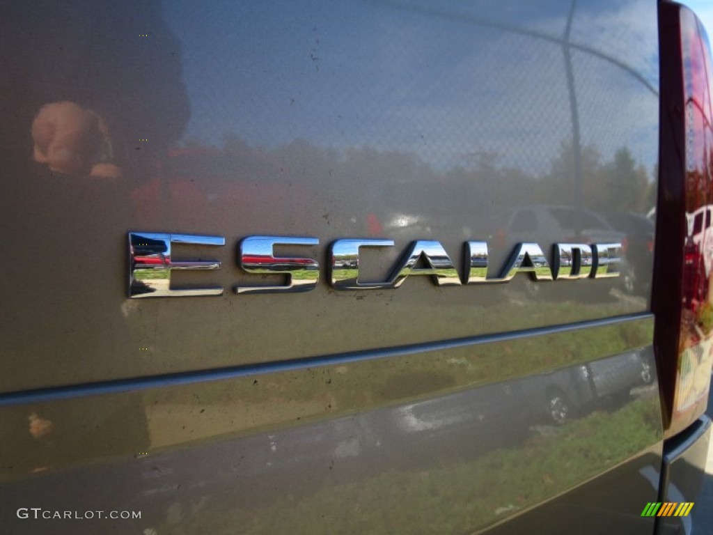 2002 Escalade AWD - Silver Sand / Shale photo #13