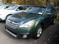 Cypress Green Pearl - Outback 2.5i Limited Photo No. 3