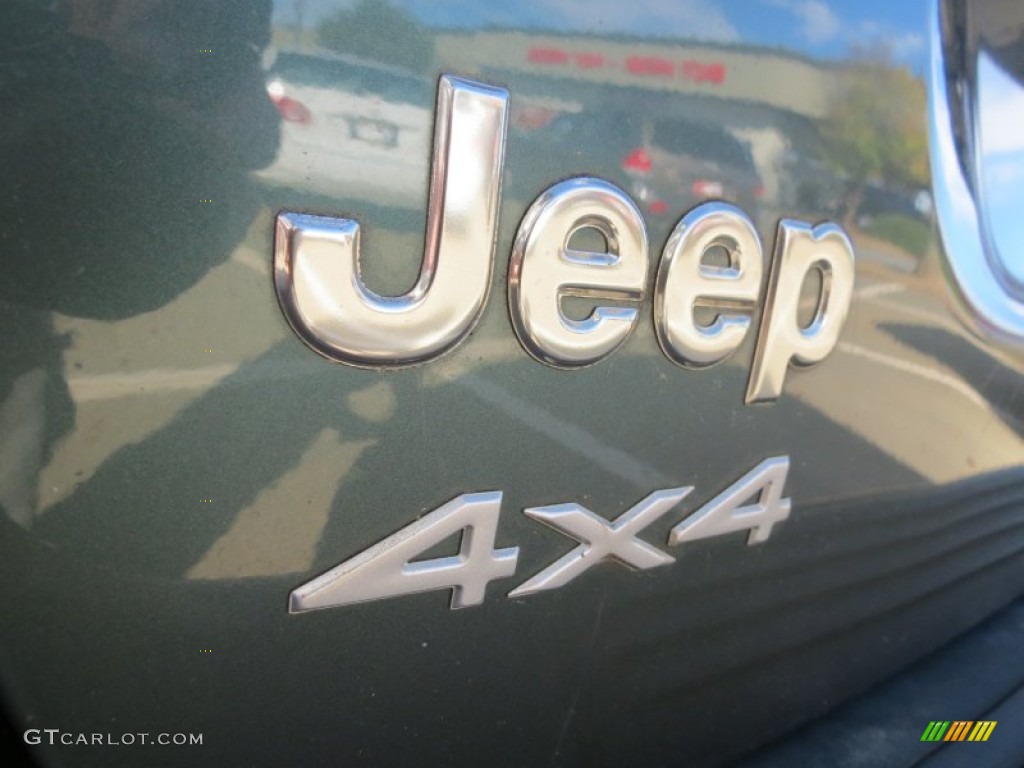 2004 Grand Cherokee Laredo 4x4 - Onyx Green Pearl / Taupe photo #10