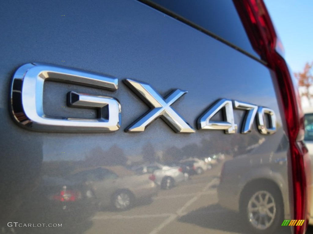 2003 GX 470 - Ash Blue Mica / Ivory photo #12