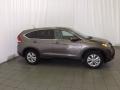 2014 Urban Titanium Metallic Honda CR-V EX  photo #5