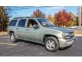 2004 Silver Green Metallic Chevrolet TrailBlazer EXT LS 4x4  photo #8