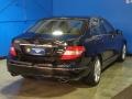Black - C 300 Luxury 4Matic Photo No. 6