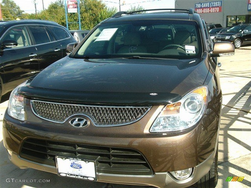 2010 Veracruz Limited - Driftwood Metallic / Beige photo #1