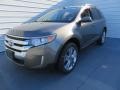 2013 Mineral Gray Metallic Ford Edge SEL  photo #8