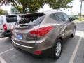 2010 Chai Bronze Hyundai Tucson GLS  photo #4