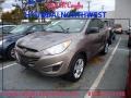 Chai Bronze 2012 Hyundai Tucson GL
