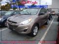 2012 Chai Bronze Hyundai Tucson GL  photo #1