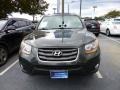 2010 Black Forest Green Metallic Hyundai Santa Fe Limited  photo #2