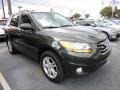 2010 Black Forest Green Metallic Hyundai Santa Fe Limited  photo #3