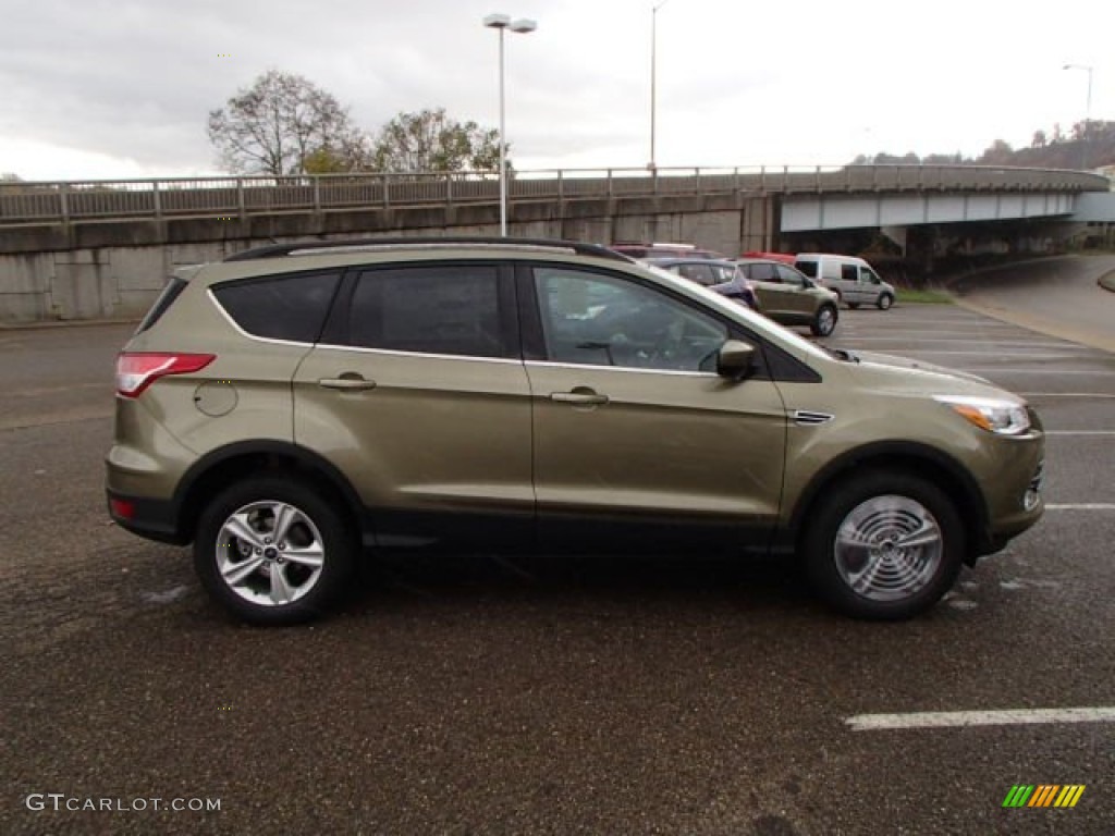 2014 Escape SE 1.6L EcoBoost 4WD - Ginger Ale / Charcoal Black photo #1