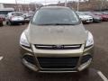 2014 Ginger Ale Ford Escape SE 1.6L EcoBoost 4WD  photo #3