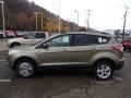 2014 Ginger Ale Ford Escape SE 1.6L EcoBoost 4WD  photo #5