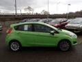 2014 Green Envy Ford Fiesta SE Hatchback  photo #1