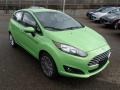 Front 3/4 View of 2014 Fiesta SE Hatchback