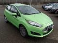 Green Envy 2014 Ford Fiesta SE Hatchback Exterior