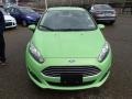 2014 Green Envy Ford Fiesta SE Hatchback  photo #3