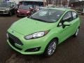 2014 Green Envy Ford Fiesta SE Hatchback  photo #4