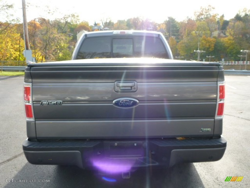 2010 F150 FX4 SuperCrew 4x4 - Sterling Grey Metallic / Black photo #12