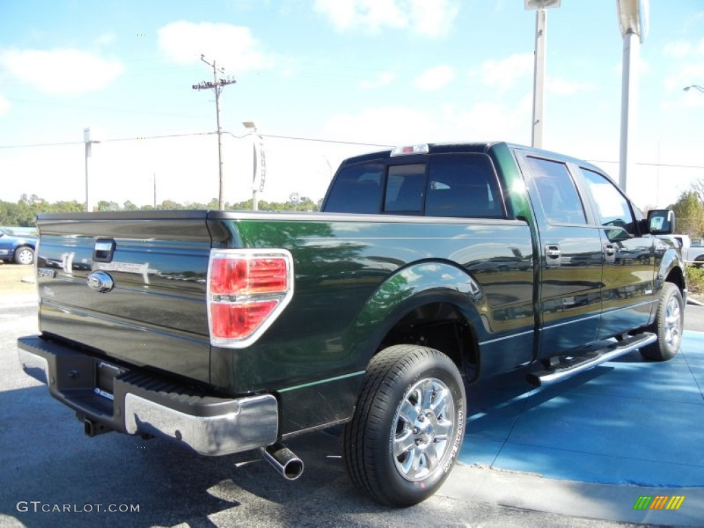 Green Gem Metallic 2013 Ford F150 XLT SuperCrew Exterior Photo #87687996