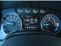 Steel Gray Gauges Photo for 2013 Ford F150 #87688130