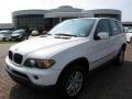 Alpine White - X5 3.0i Photo No. 1
