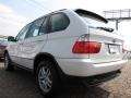 Alpine White - X5 3.0i Photo No. 3