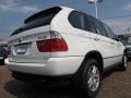 Alpine White - X5 3.0i Photo No. 5