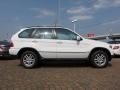 Alpine White - X5 3.0i Photo No. 6