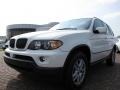 Alpine White - X5 3.0i Photo No. 9
