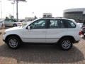 Alpine White - X5 3.0i Photo No. 10