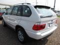 Alpine White - X5 3.0i Photo No. 11