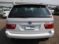 Alpine White - X5 3.0i Photo No. 12