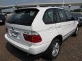 Alpine White - X5 3.0i Photo No. 13