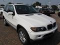 Alpine White - X5 3.0i Photo No. 15