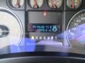 2010 Ingot Silver Metallic Ford F150 XLT SuperCrew  photo #40