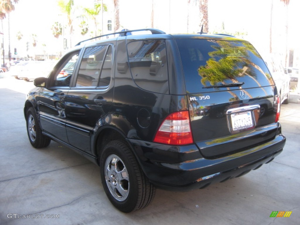 2005 ML 350 4Matic - Black / Charcoal photo #4