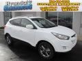 2014 Winter White Hyundai Tucson SE  photo #1