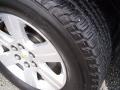 Silver Ice Metallic - Traverse LT Photo No. 9