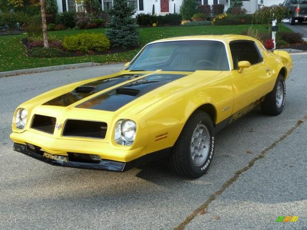 Goldenrod Yellow 1976 Pontiac Firebird Formula 400 Exterior Photo #87716046