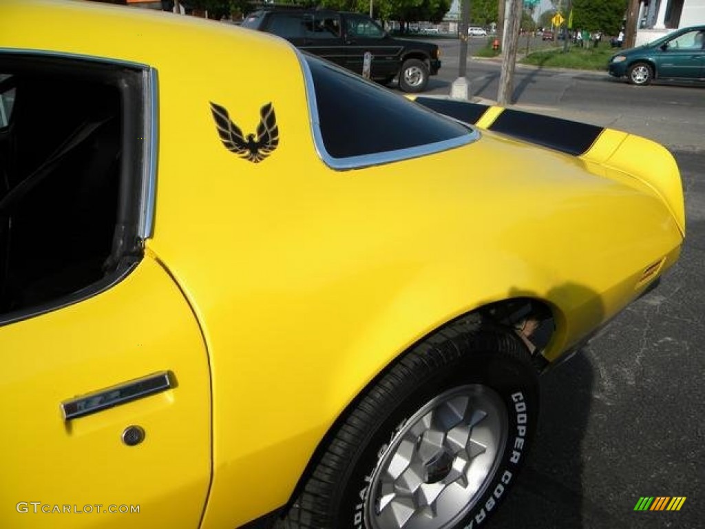 1976 Pontiac Firebird Formula 400 Marks and Logos Photos