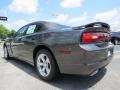 Pitch Black - Charger SE Photo No. 2