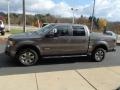 Sterling Gray Metallic - F150 FX4 SuperCrew 4x4 Photo No. 5