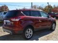 2014 Sunset Ford Escape Titanium 1.6L EcoBoost  photo #3