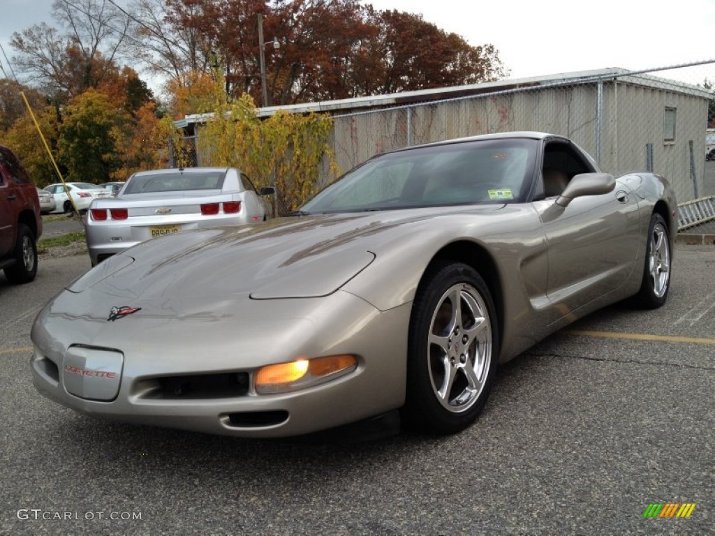 1998 Corvette Coupe - Light Pewter Metallic / Light Gray photo #1