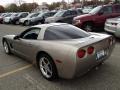 Light Pewter Metallic - Corvette Coupe Photo No. 5