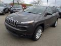 Granite Crystal Metallic 2014 Jeep Cherokee Latitude 4x4 Exterior