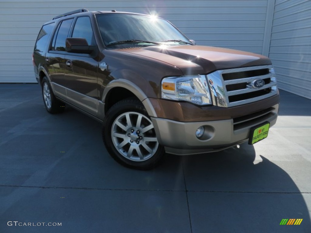 Golden Bronze Metallic Ford Expedition